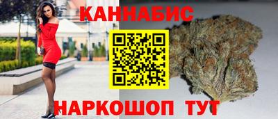 прущие грибы Апшеронск