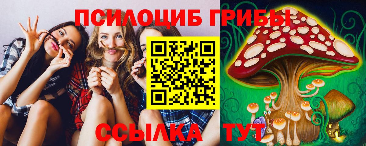 Галлюциногенные грибы прущие грибы Верхняя Пышма