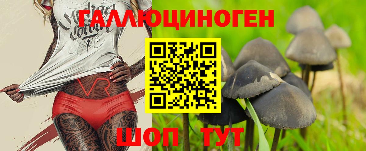 Псилоцибиновые грибы ЛСД  Вход с VPN  Верхняя Пышма 